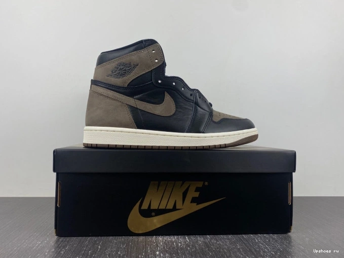 High  Retro 1   Palomino DZ5485-020 OG Jordan 0213